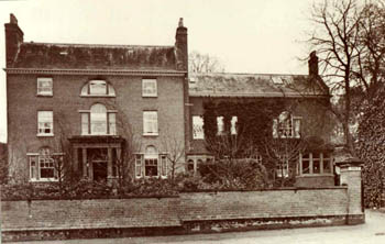 The Holt